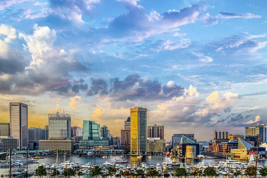 Baltimore Skyline Photograph - Baltimore Harbor Skyline #1 by Susan Candelario