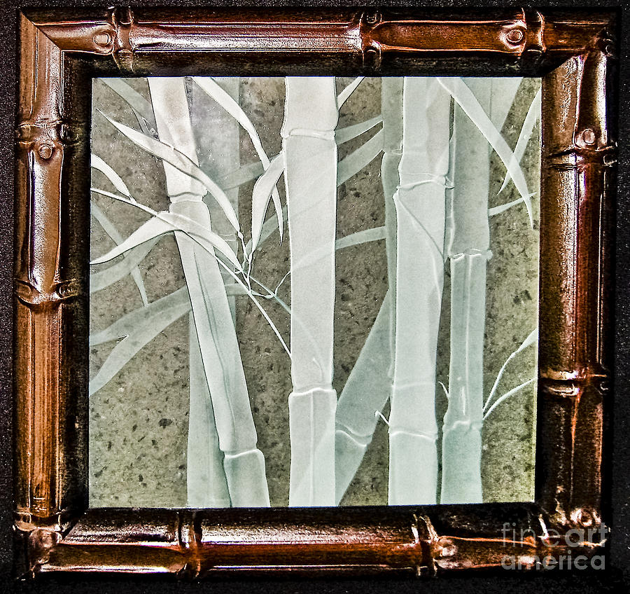 Bamboo Glass Art by Alone Larsen