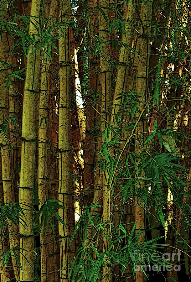 Bamboo of Hawaii #1 Photograph by Craig Wood