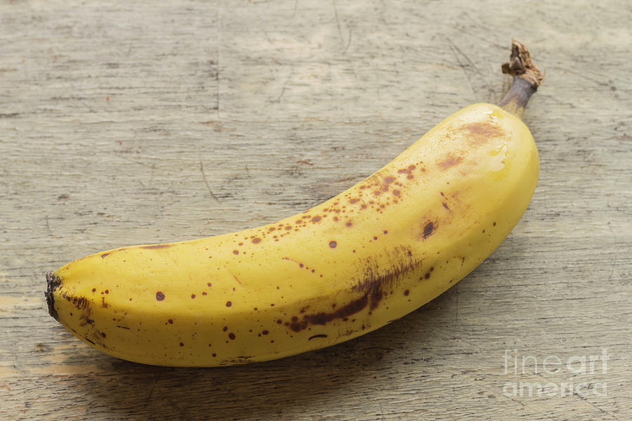 Banana Ready for Baking Photograph by Ezume Images - Fine Art America