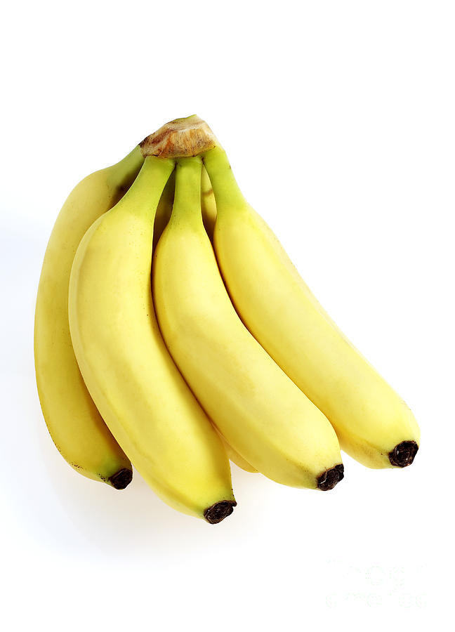 Bananas #1 Photograph by Gerard Lacz