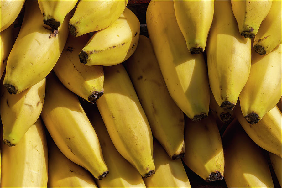 Bananas #1 Photograph by Robert Ullmann