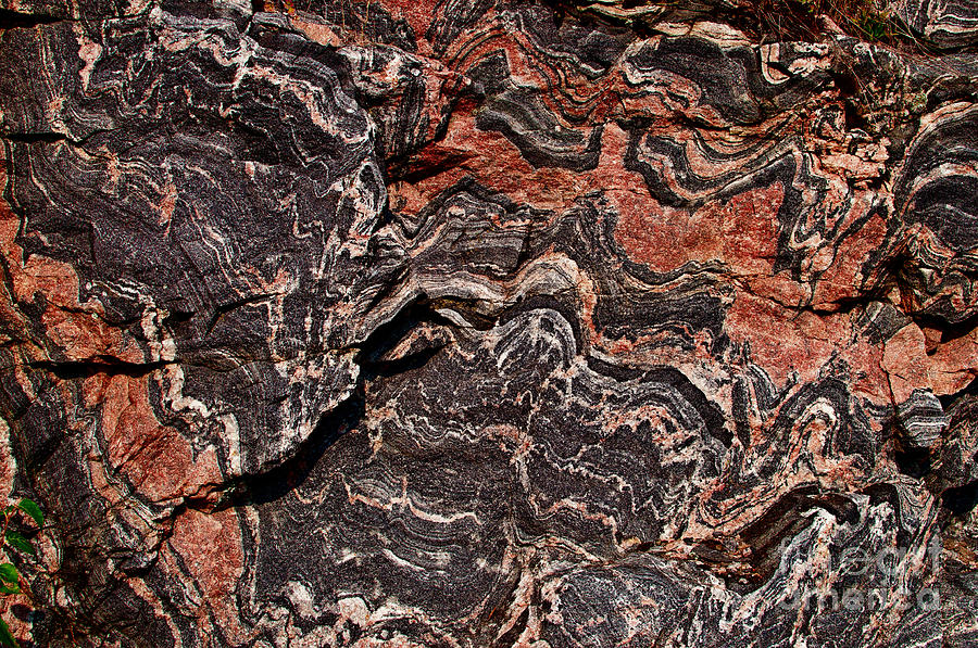 Banded Gneiss Rock #2 Photograph by Les Palenik