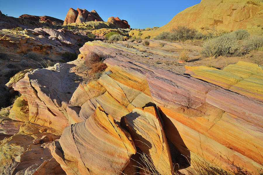 Bands of Colorful Sandstone in Valley of Fire #1 Photograph by Ray Mathis