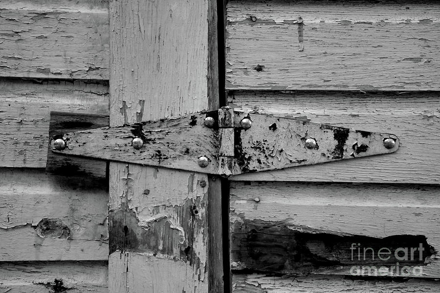 Barn Door #1 Photograph by FineArtRoyal Joshua Mimbs