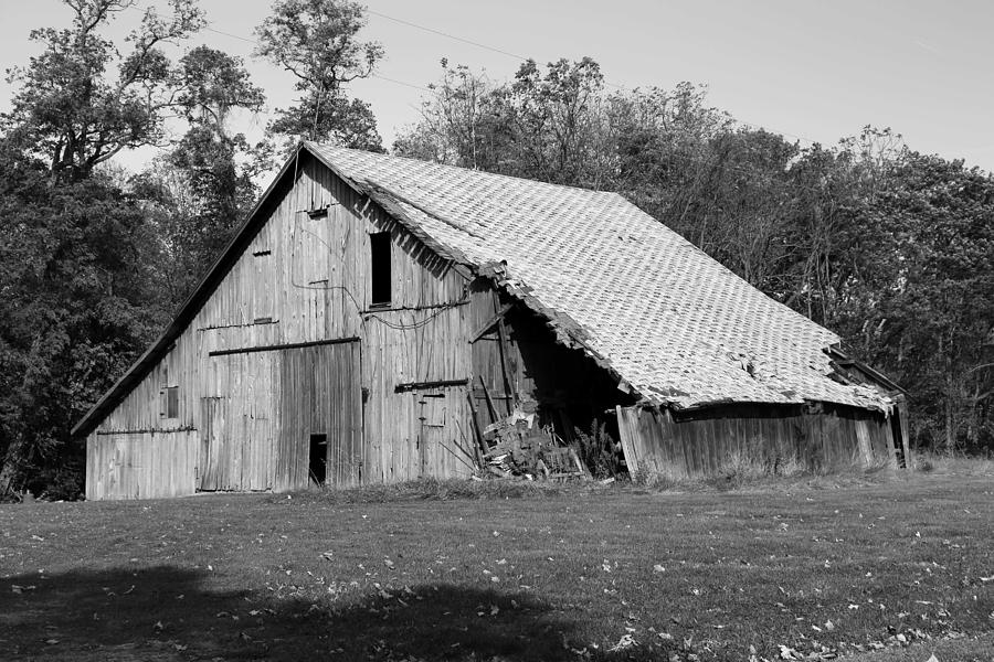 Tree Photograph - Barn in Indiana no 10 #2 by Dwight Cook