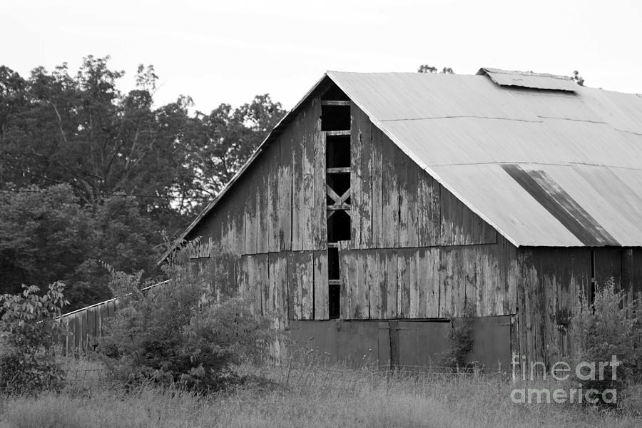 Tree Photograph - Barn in Kentucky no 70 by Dwight Cook