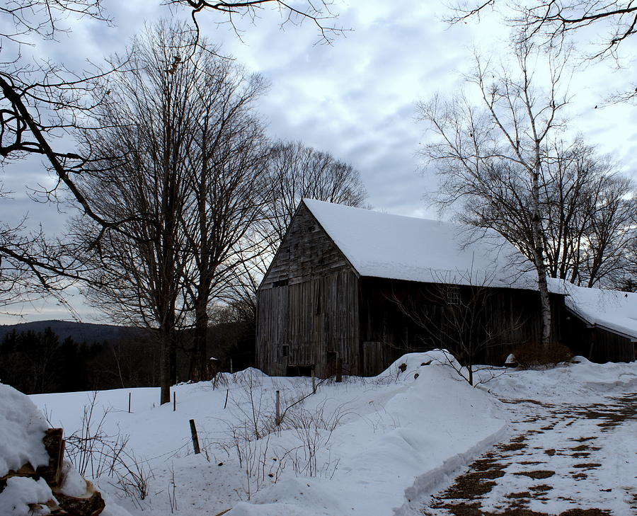 Barn in Winter #1 Photograph by Lois Lepisto