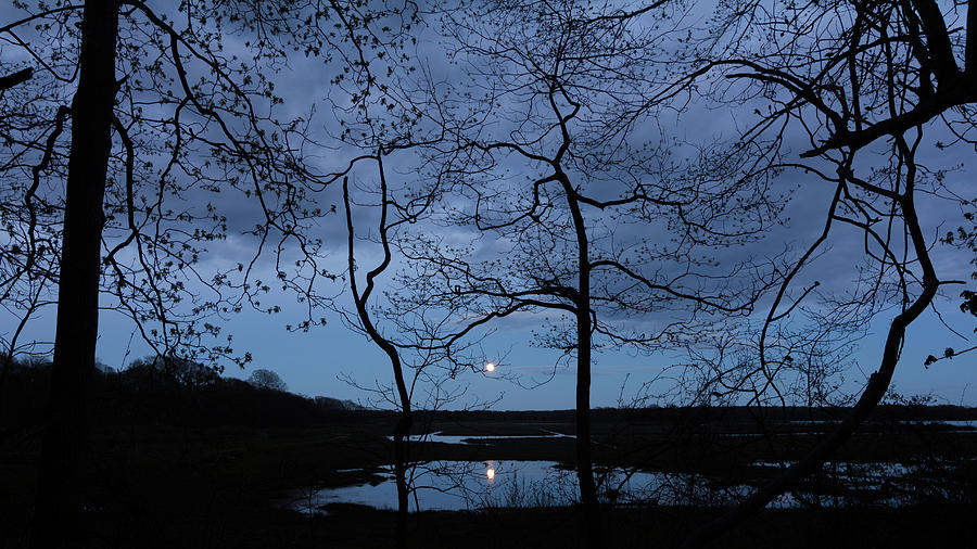 Barn Island Moonrise #1 Photograph by Kirkodd Photography Of New England