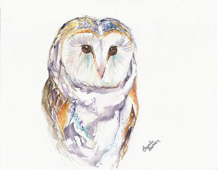 Barn Owl #2 Painting by Beverly Bronson - Fine Art America