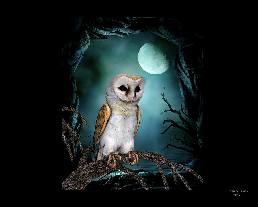 Barn Owl #1 Digital Art by John Junek