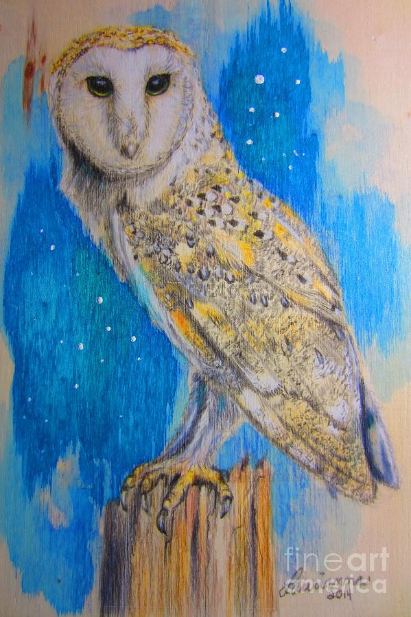 Barn Owl #1 Drawing by Laurianna Taylor