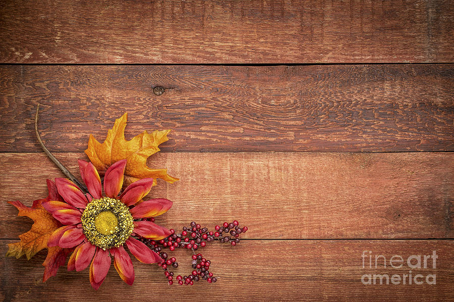 Barn Wood  Background With Fall Decoration #1 Photograph by Marek Uliasz