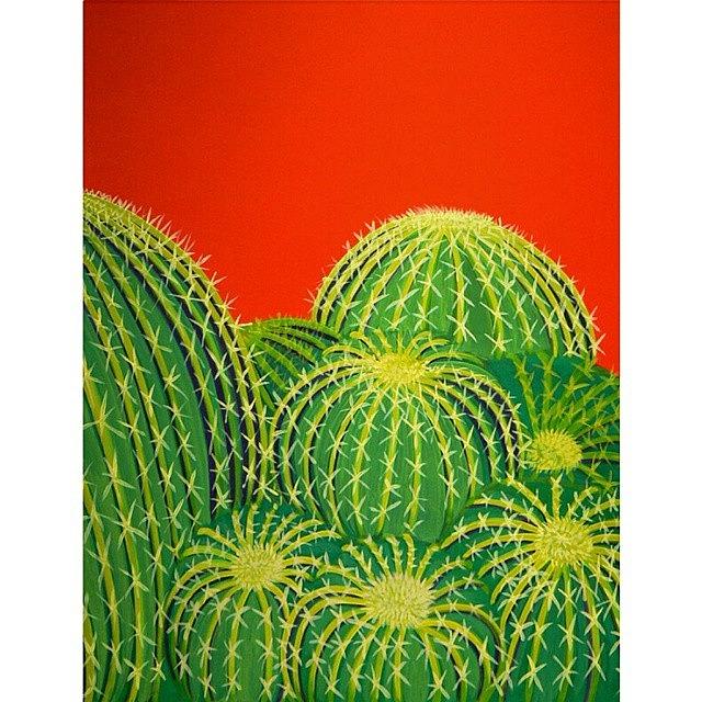 Phoenix Photograph - Barrel Cactus #1 by Karyn Robinson