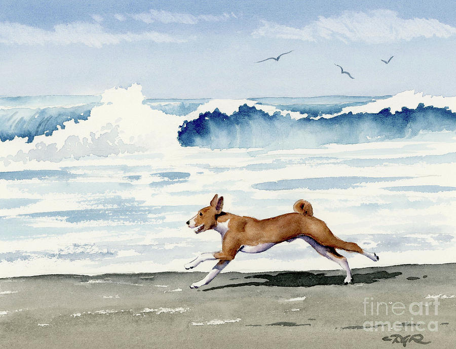 Beach Painting - Basenji at the Beach #2 by David Rogers