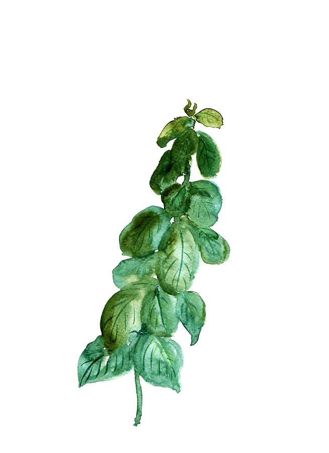 Basil Painting by Sweeping Girl - Fine Art America