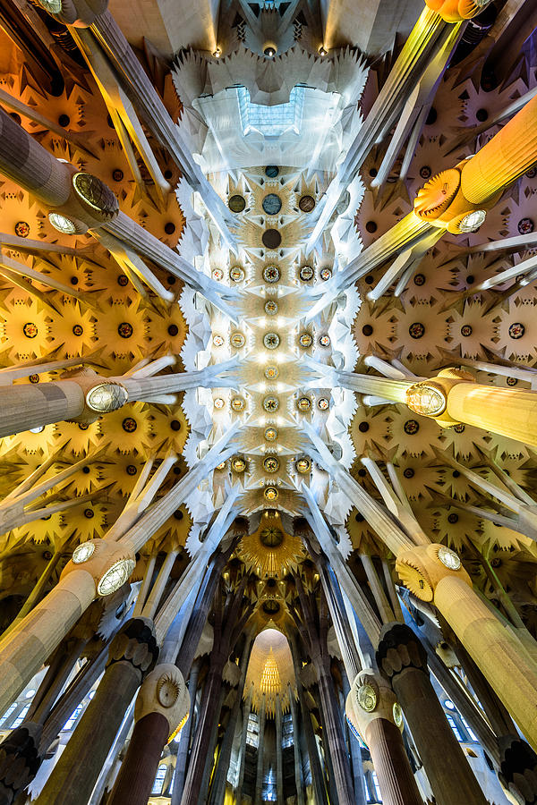 Architecture Photograph - Basilica de la Sagrada Familia #1 by Randy Scherkenbach