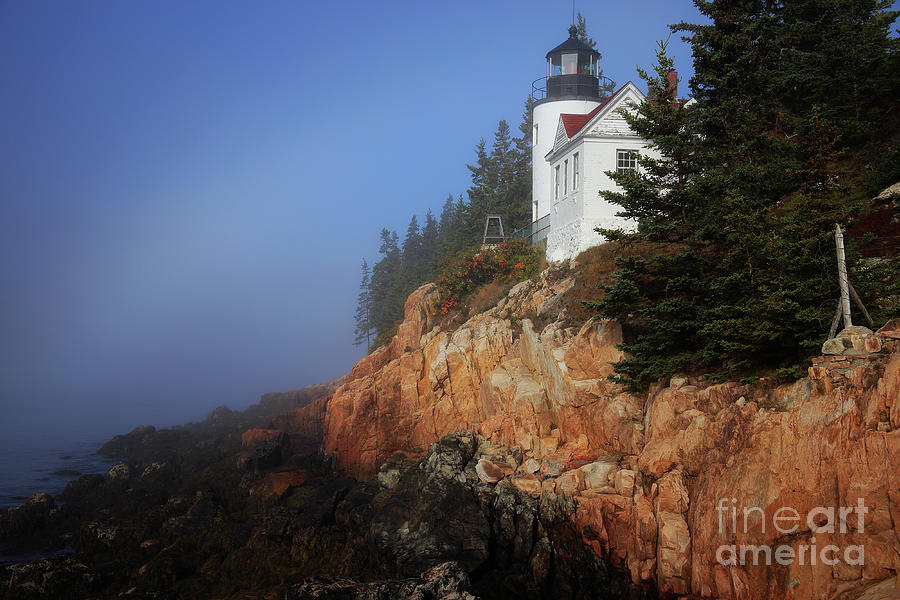Bass Harbor Lighthouse, Acadia National Park Photograph by Kevin Shields