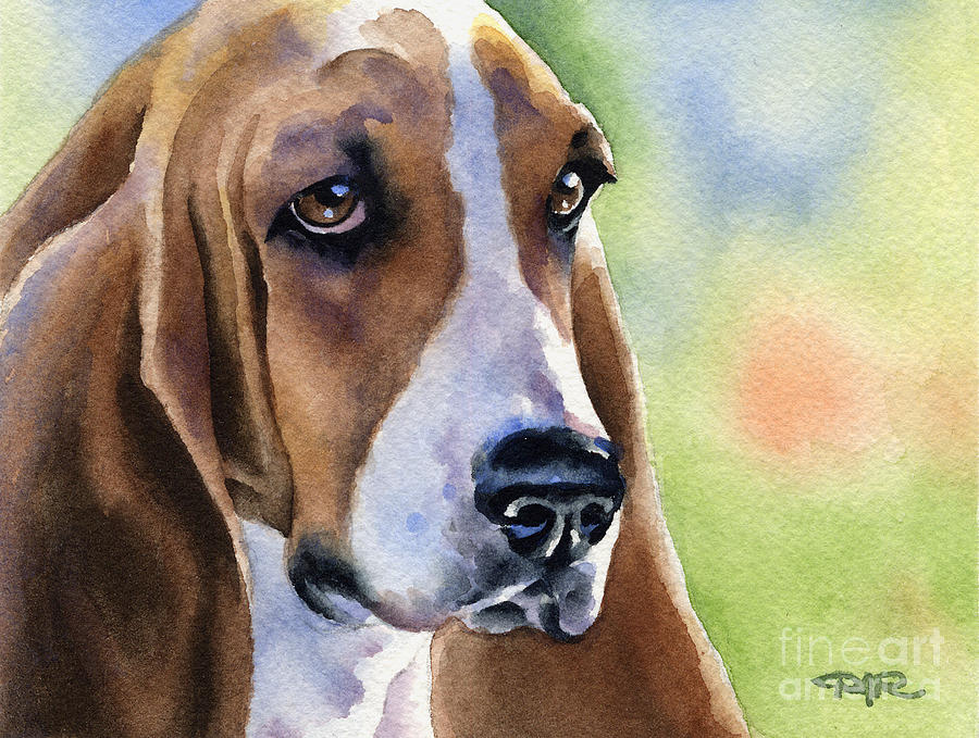 Dog Painting - Basset Hound #5 by David Rogers