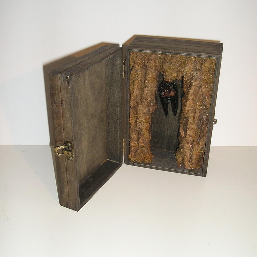 Bat in a Box #1 Mixed Media by Roger Swezey
