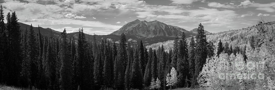 Mountain Photograph - Battle Of Color at Kebler Pass #1 by Michael Ver Sprill