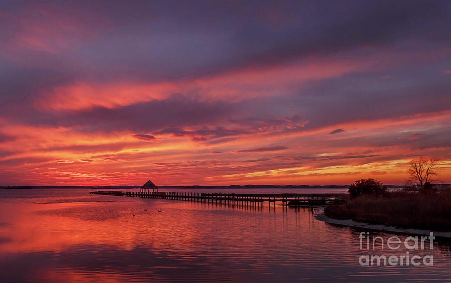 Bayside Beauty #2 Photograph by Janet Barnes - Fine Art America