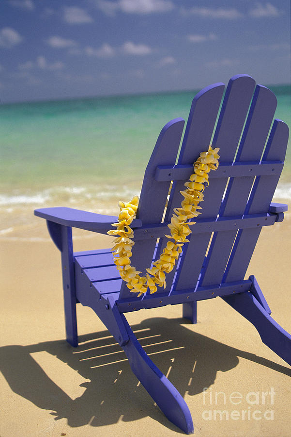 Beach Chair #1 Photograph by Dana Edmunds - Printscapes