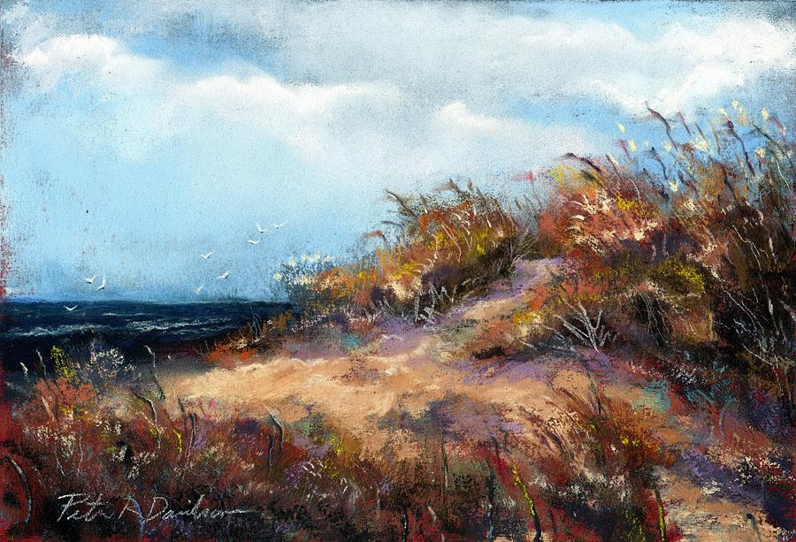 Beach Dune 2 Pastel By Peter R Davidson - Fine Art America