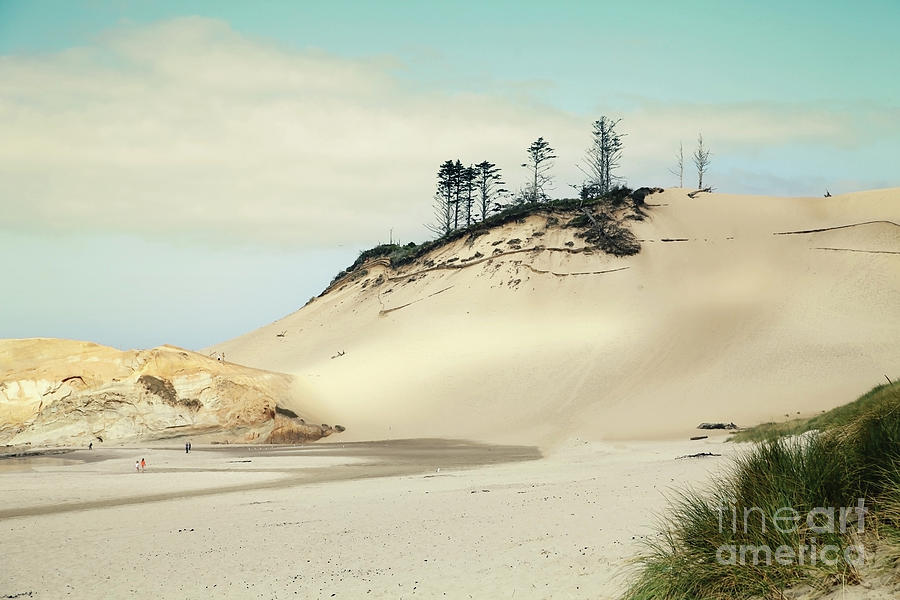 Beach Dunes #1 Photograph by Sylvia Cook