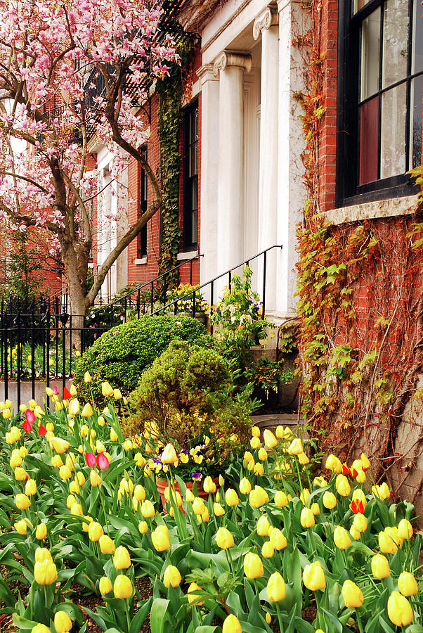 Beacon Hill Spring #1 Photograph by James Kirkikis