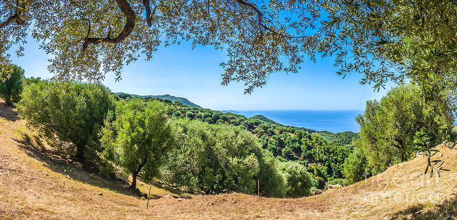 Beautiful coastal landscape at the Cilentan Coast, Campania, sou #1 Photograph by JR Photography