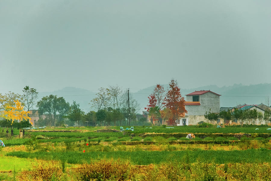 Beautiful countryside scenery in autumn #1 Photograph by Carl Ning