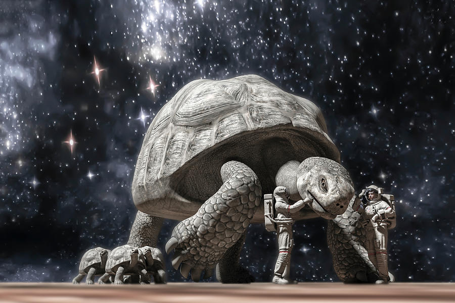 Turtle Digital Art - Beautiful Creatures #1 by Betsy Knapp