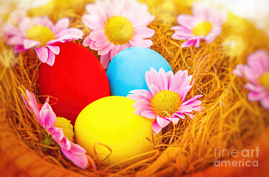 Beautiful Easter still life #1 Photograph by Anna Om