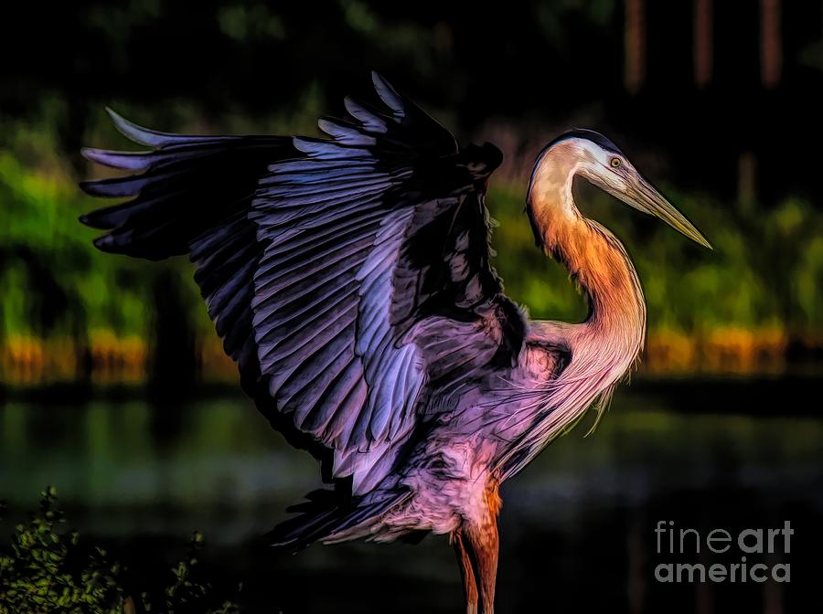 Beautiful Great Blue Heron Photograph by Paulette Thomas