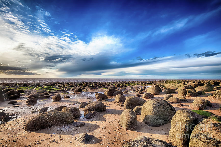 Beautiful seaweed rock outcrops on Norfolk coast #1 Photograph by Simon Bratt