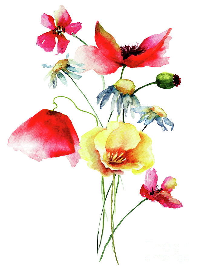 Spring Painting - Beautiful Summer flowers #2 by Regina Jershova