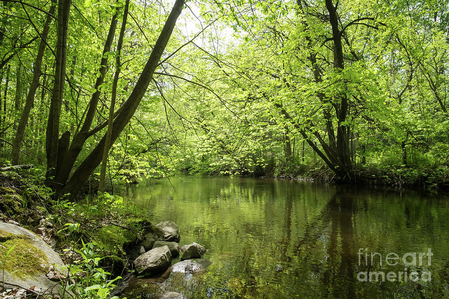 Beautiful Summer Stream Photograph by Ezume Images - Pixels