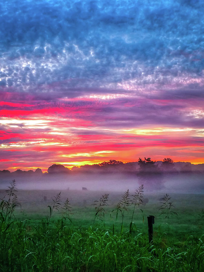 Beautiful Sunrise Over Farmland In South Carolina #1 Photograph by Alex Grichenko