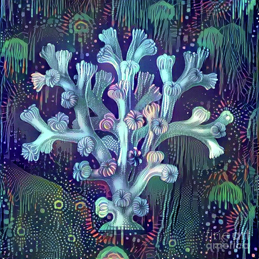 Beautiful undersea coral #1 Digital Art by Amy Cicconi