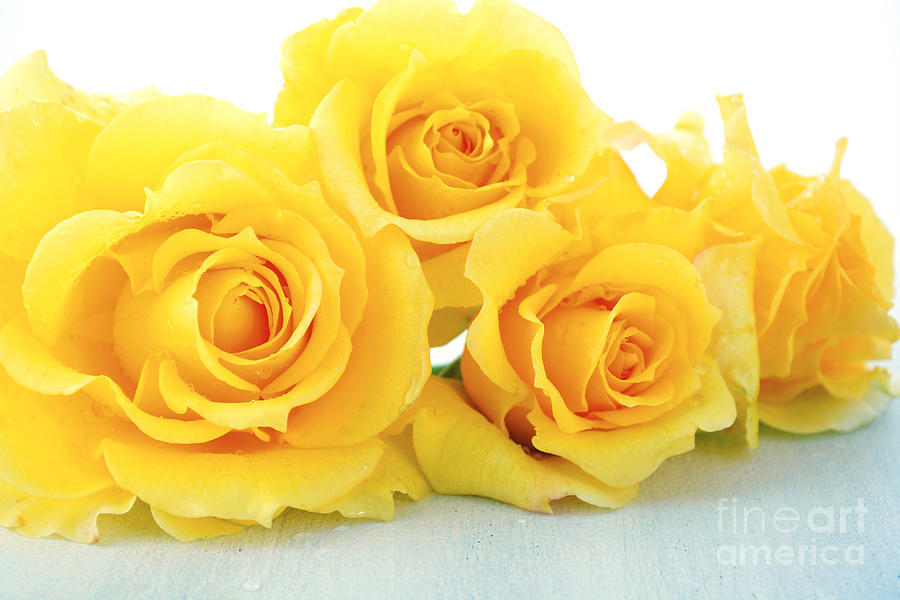 Beautiful yellow roses on rustic wood table.  #1 Photograph by Milleflore Images