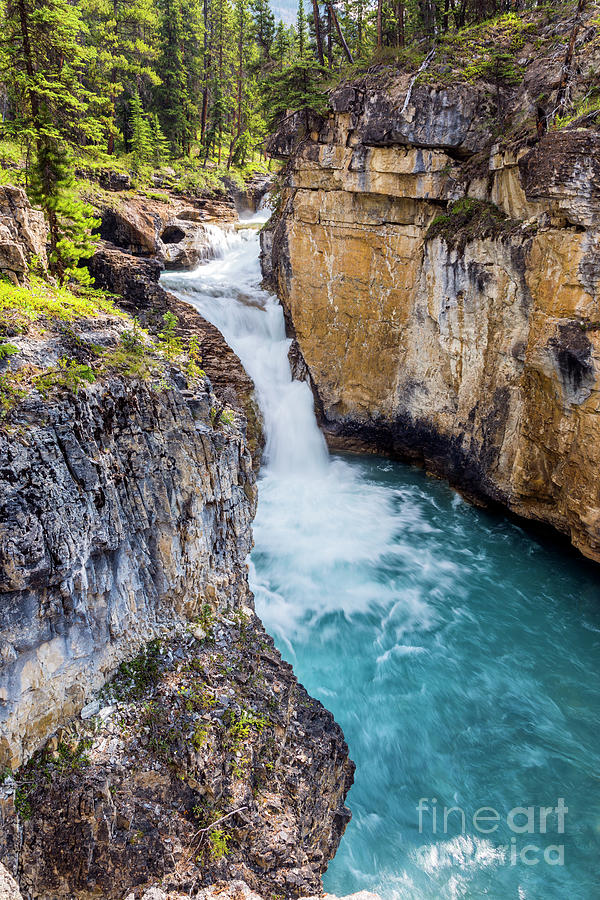 Beauty Creek Waterfall, Photograph by Daryl L Hunter - Fine Art America