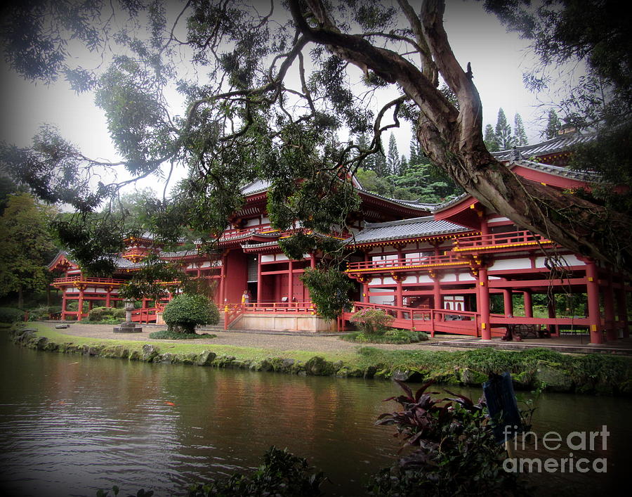 Oahu Photograph - Beauty on Oahu by Joy Patzner Oahu Photograph - Beauty on Oahu by Joy Patzner