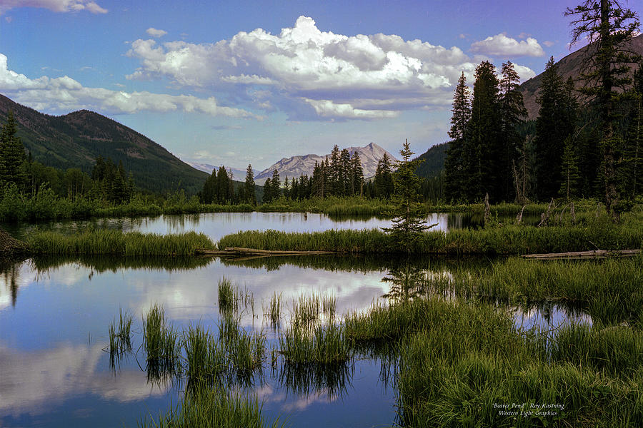 Beaver Pond Photograph by Roy Kastning