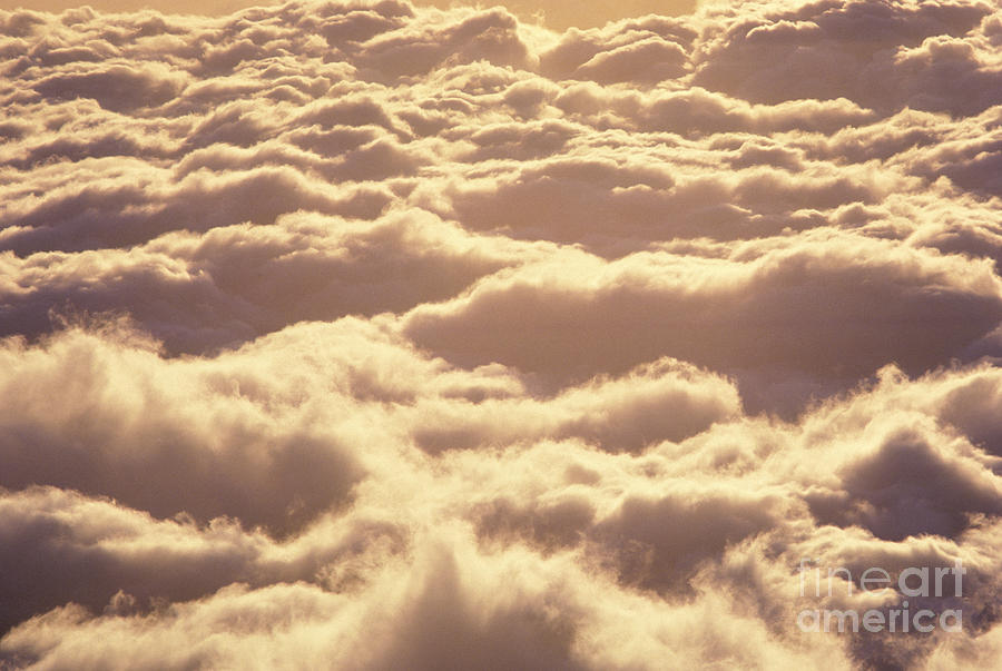 Bed Of Puffy Clouds #1 Photograph by Carl Shaneff - Printscapes