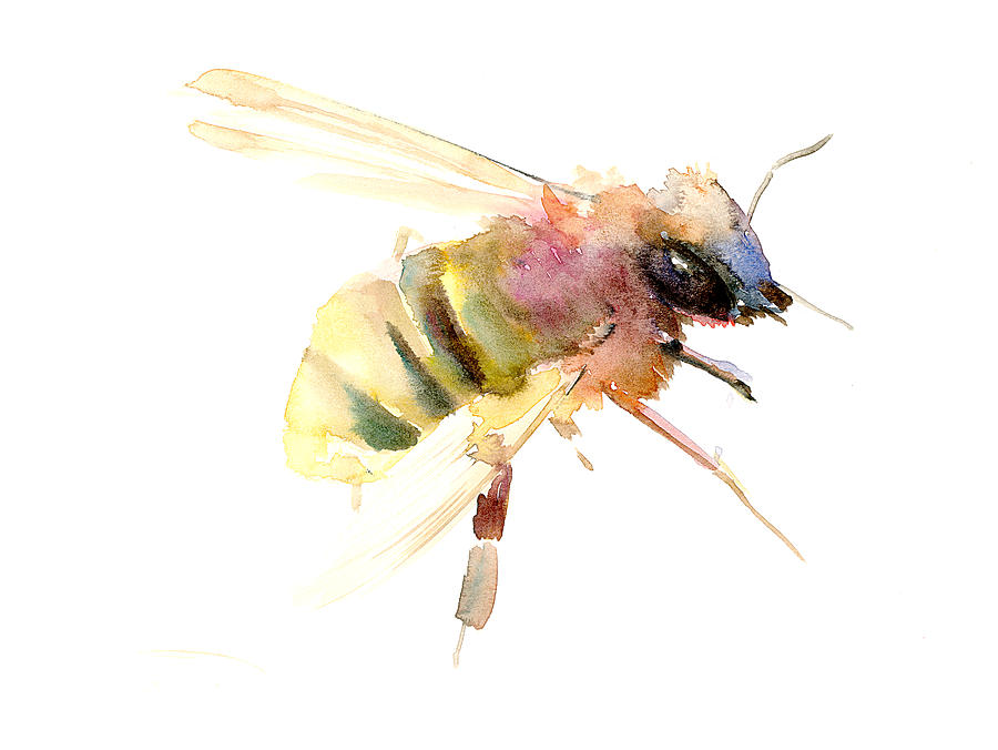 Insects Painting - Bee #1 by Suren Nersisyan
