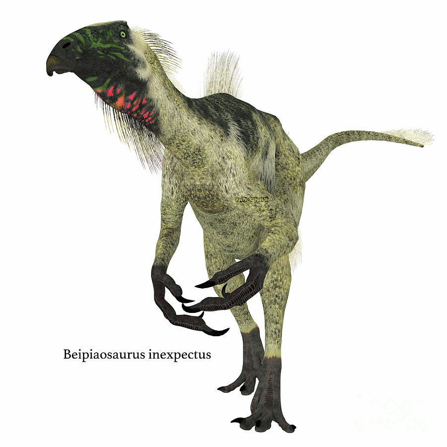 Prehistoric Digital Art - Beipiaosaurus Dinosaur on White #1 by Corey Ford