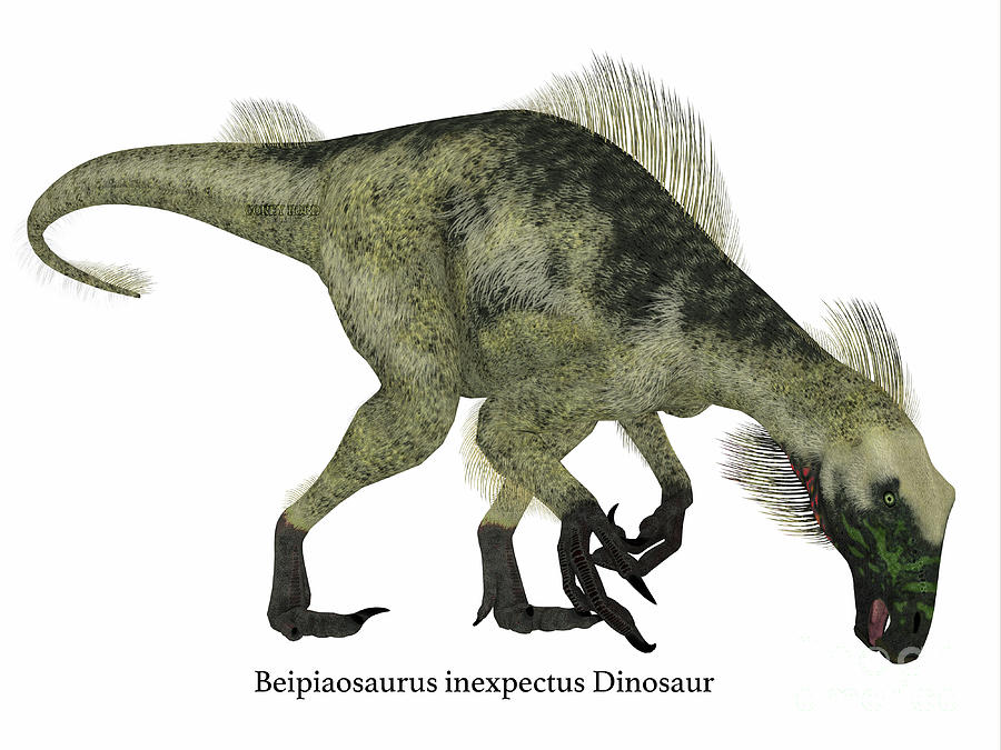 Prehistoric Digital Art - Beipiaosaurus Dinosaur Side Profile #1 by Corey Ford