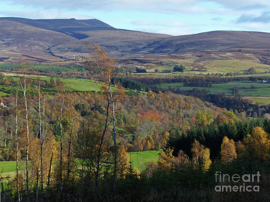 Ben Rinnes from Ballindalloch Golf Course in Autumn Photograph by Phil Banks