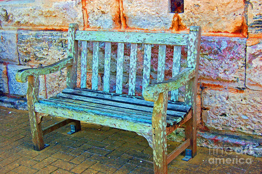 Benched #1 Photograph by Debbi Granruth